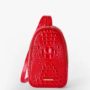 Jordan Sacs à dos Brahmin