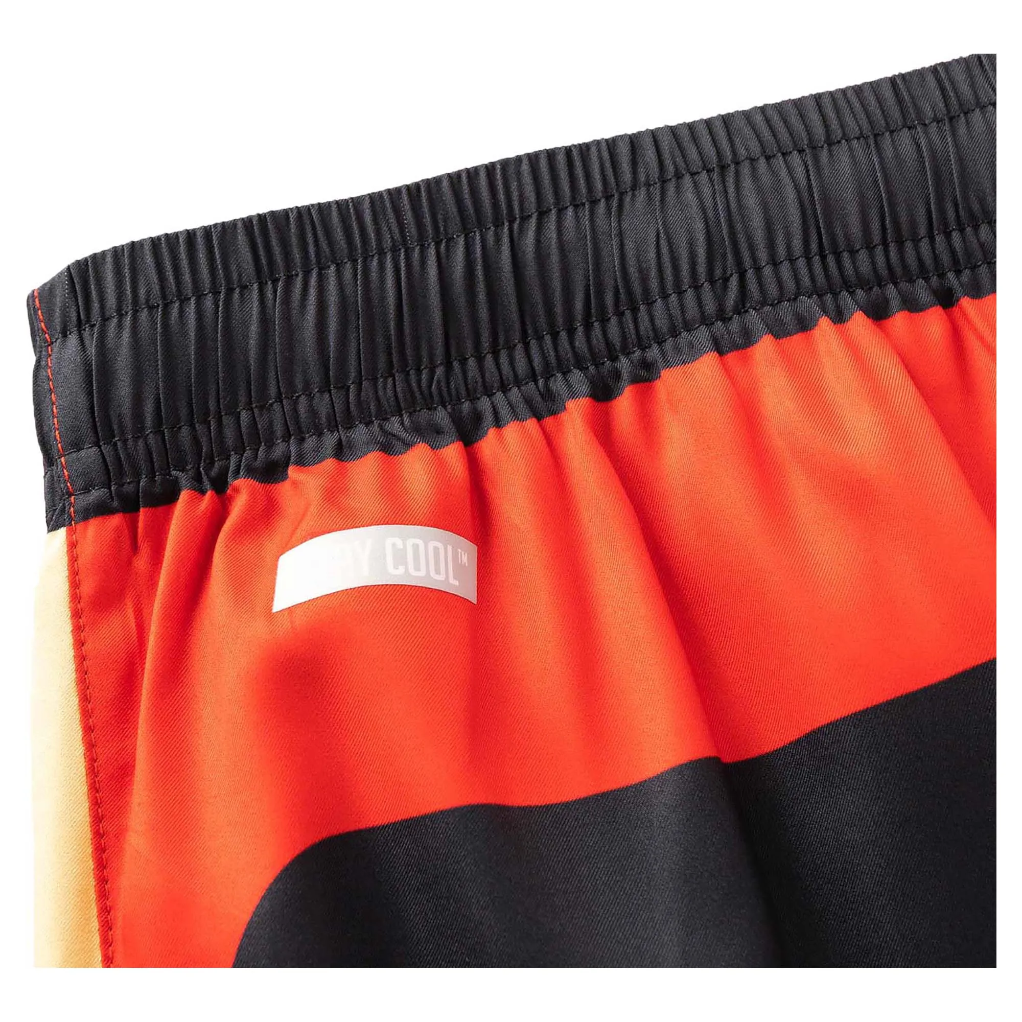 Short de gym Performance NRL Redcliffe Dolphins 2025 pour hommes