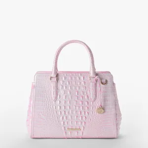 Petits sacs Finley, satchels Brahmin