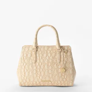 Petits sacs Finley Totes Brahmin Fourre-tout